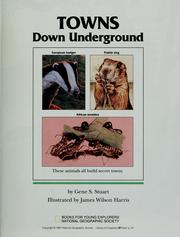 Cover of: Towns down underground by Gene S. Stuart