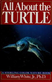 Cover of: All about the turtle by William White