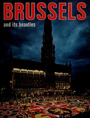 Cover of: Brussels and its beauties by 