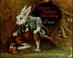 Cover of: Doctor Rabbit's foundling