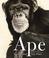 Cover of: Ape
