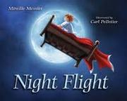 Cover of: Night Flight
