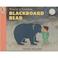 Cover of: You're a Genius Blackboard Bear