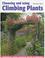 Cover of: Choosing and using climbing plants