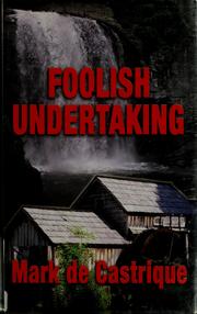 Cover of: Foolish Undertaking
