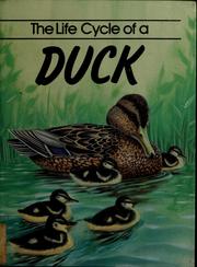 Cover of: The life cycle of a duck by Jill Bailey