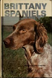 Cover of: Brittany spaniels by Beverly Pisano, Beverly Pisano