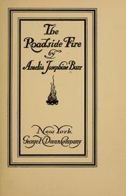 Cover of: The roadside fire