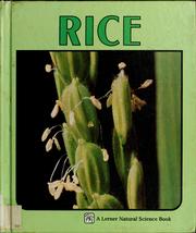 Cover of: Rice by Sylvia A. Johnson, Sylvia A. Johnson