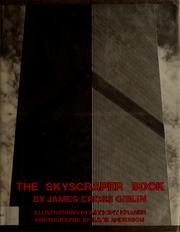 Cover of: The skyscraper book
