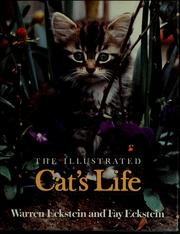 Cover of: The illustrated cat's life