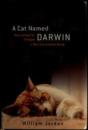 Cover of: A cat named Darwin: how a stray cat changed a man into a human being