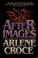 Cover of: Afterimages