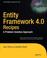 Cover of: Entity Framework 4.0 Recipes