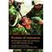 Cover of: Pockets of Resistance: British news media, war and theory in the 2003 invasion of Iraq