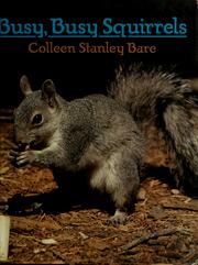 Cover of: Busy, busy squirrels by Colleen Stanley Bare