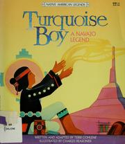 Cover of: Turquoise boy by Terri Cohlene