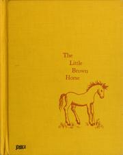 Cover of: The little brown horse.
