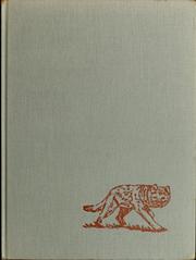 Cover of: The first puppy.