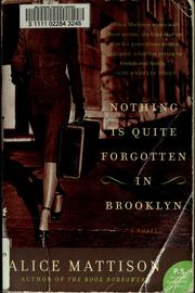 Cover of: Nothing is quite forgotten in Brooklyn: a novel