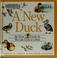 Cover of: A New Duck 