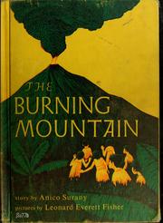 Cover of: The burning mountain. | Anico Surany