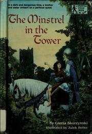 Cover of: The minstrel in the tower by Gloria Skurzynski