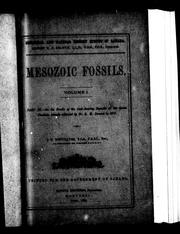 Cover of: Mesozoic fossils by Joseph Frederick Whiteaves