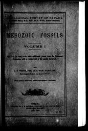 Cover of: Mesozoic fossils by Joseph Frederick Whiteaves