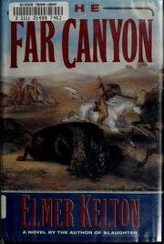 Cover of: The far canyon by Elmer Kelton
