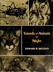sounds-of-animals-at-night-cover