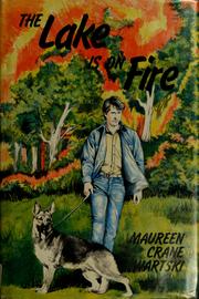 Cover of: The lake is on fire by Maureen Crane Wartski