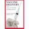 Cover of: Vaccine Delivery and Autism