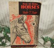 Cover of: How to draw horses