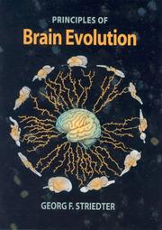 Cover of: Principles of Brain Evolution by Georg F. Striedter