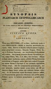 Cover of: Synopsis plantarum cryptogamicarum ab Eduardo Poeppig in Cuba insula et in America meridionali collectarum