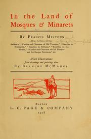 Cover of: In the land of mosques & minarets