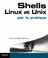 Cover of: Shells Linux et Unix