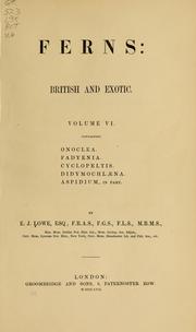 Cover of: Ferns by Edward Joseph Lowe