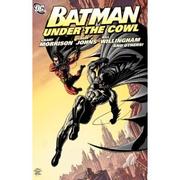Cover of: Batman: under the cowl