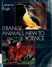 Cover of: Strange animals, new to science