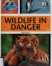 Cover of: Wildlife in Danger (Earth Watch) by Sally Morgan, Sally Morgan