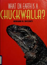 What on earth is a chuckwalla by Edward R. Ricciuti