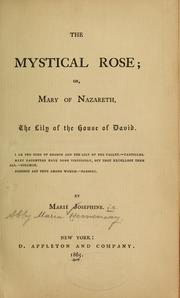 Cover of: The mystical rose