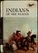 Cover of: Indians of the plains