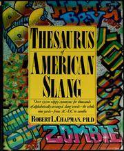 Cover of: Thesaurus of American slang