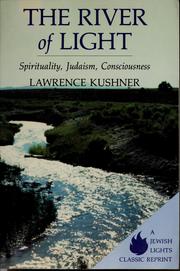 Cover of: The river of light = by Lawrence Kushner