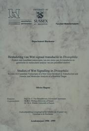 Studies of Wnt Signalling in Drosophila by Olivier Hagens