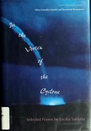 Cover of: In the vortex of the cyclone: selected poems by Excilia Saldaña