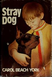Cover of: Stray dog by Carol Beach York